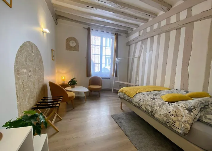 Joli Hyper Centre Appartamento